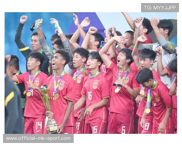 中国足球俱乐部建设多元化发展战略，我国职业足球俱乐部发展的问题