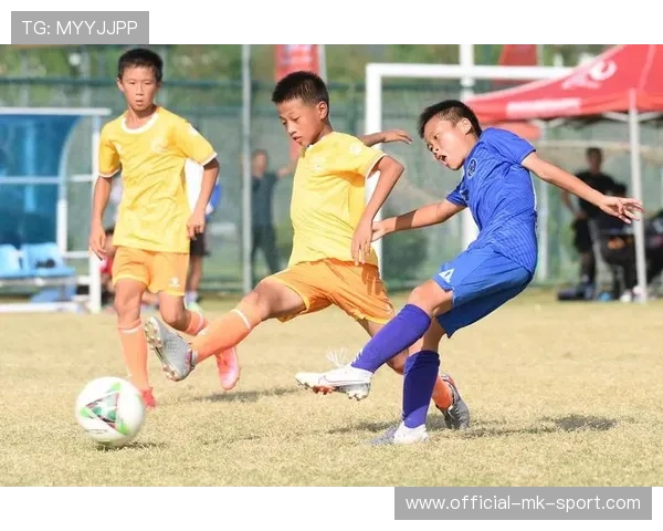 中国足球青年队比赛强度与参赛经验对比研究，中国足球青年队比赛强度与参赛经验对比研究论文